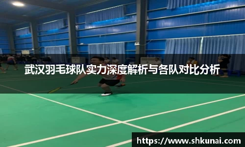 武汉羽毛球队实力深度解析与各队对比分析
