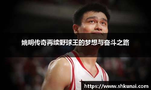 姚明传奇再续野球王的梦想与奋斗之路