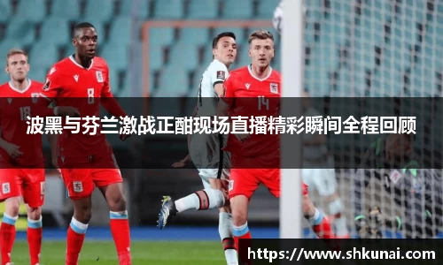 波黑与芬兰激战正酣现场直播精彩瞬间全程回顾